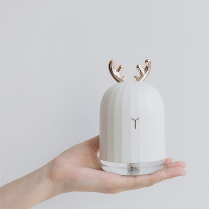 Ultrasonic Air Humidifier & Oil Diffuser
